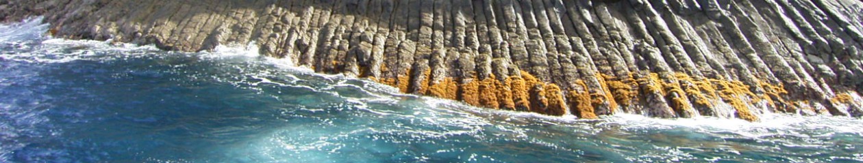 Calera